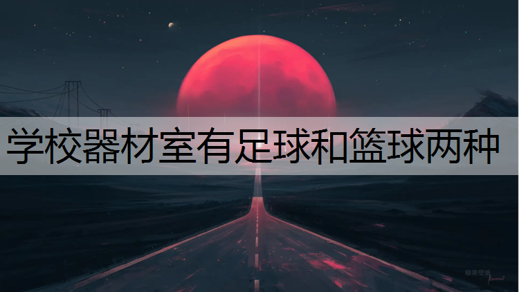 学校器材室有足球和篮球两种