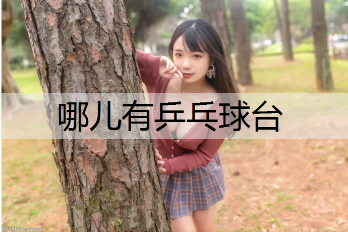 哪儿有乒乓球台